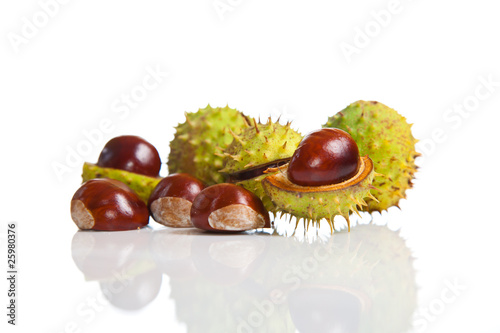 Composition of autumn chestnuts and leaves