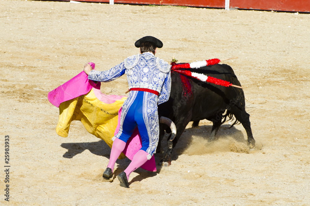 Fighting bull picture from Spain. Black bull Fighting bull picture from Spain. Black bull