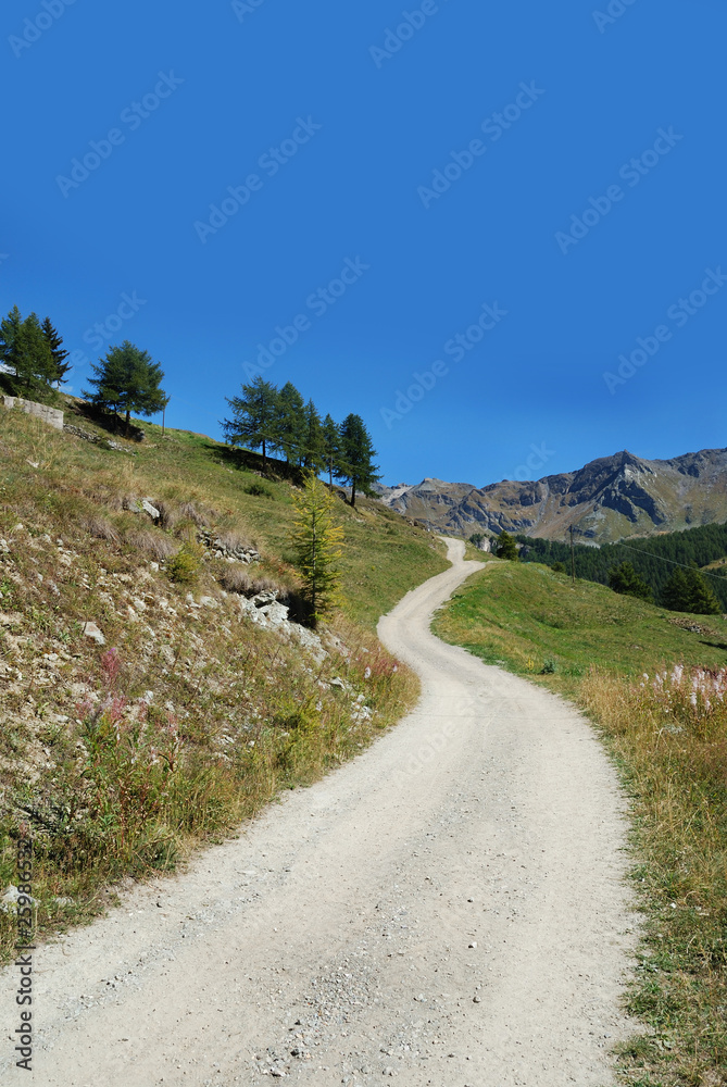 Mountain foot-path