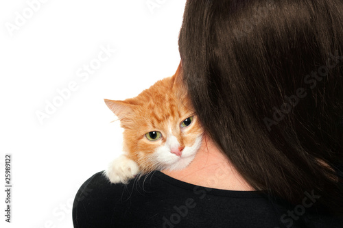 Kitten on the shoulders of women