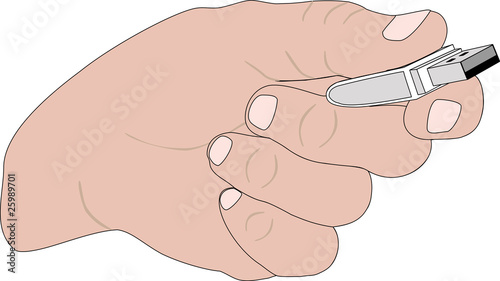 Hand with Flash memory