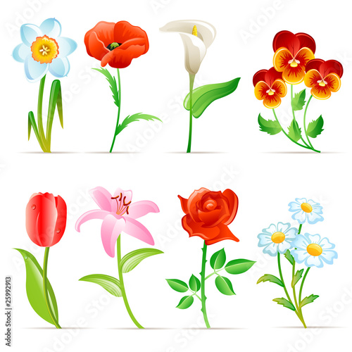 Flower set