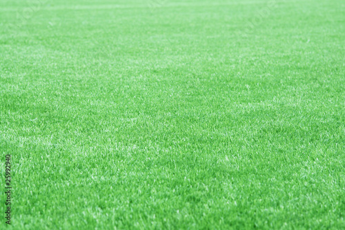 Grass turf on a sports field