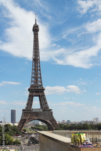 Paris  Frankreich - Gro  e und kleine Eiffelt  rme