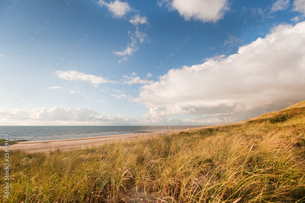Beach Beach