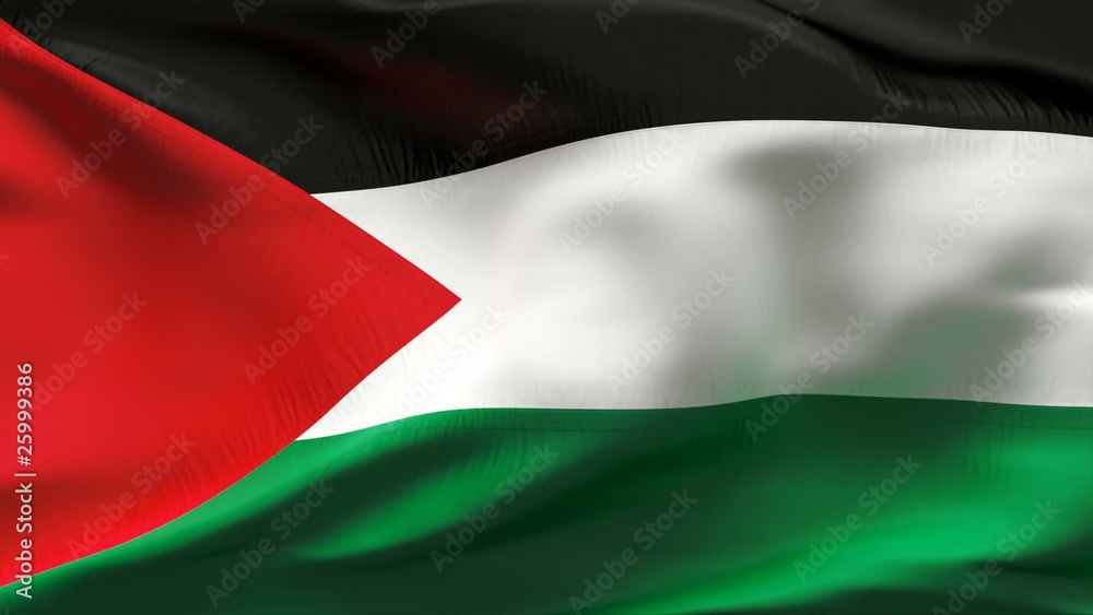 Palestine flag in slow motion Palestine flag in slow motion