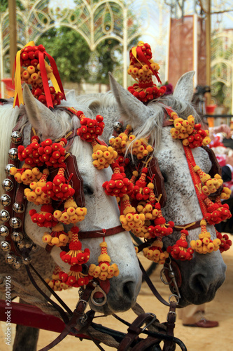 Caballos en la feria