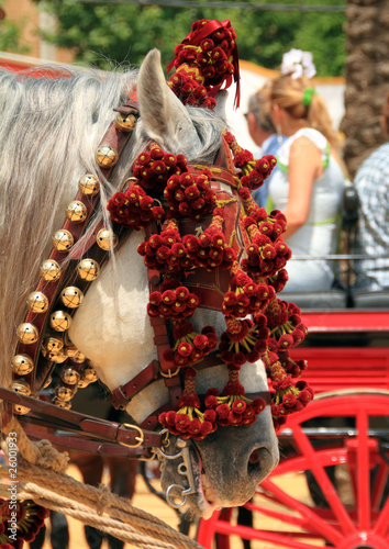 Caballo enjaezado, día de feria