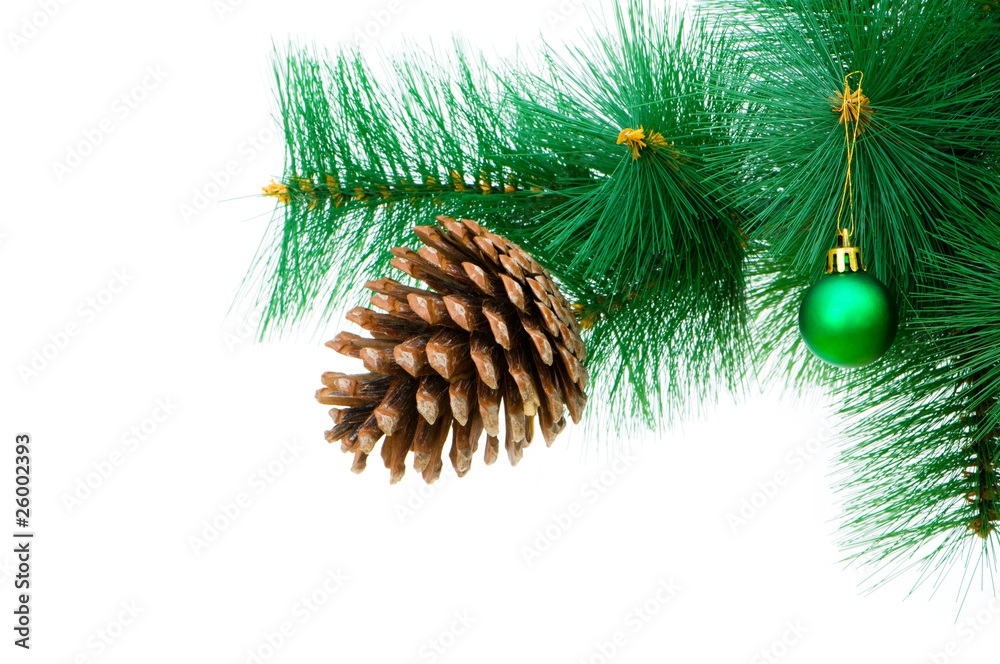 Christmas decoration on the tree Christmas decoration on the tree