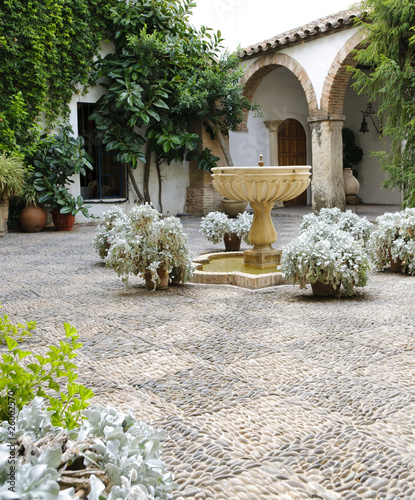 Palacio de Viana - Typical Andalusian patio