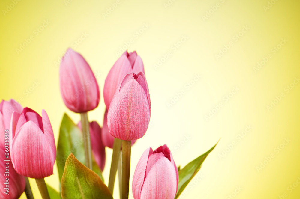Bunch of tulip flowers on the table Bunch of tulip flowers on the table