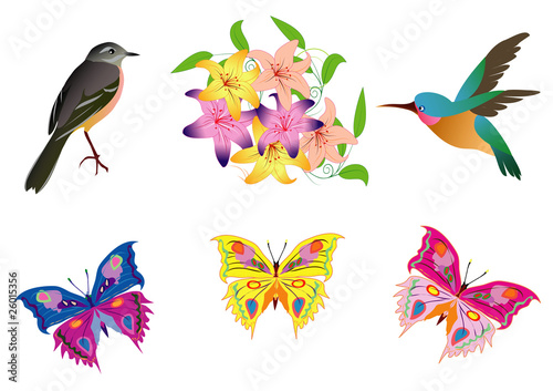 vector birds  butterfly and flowers