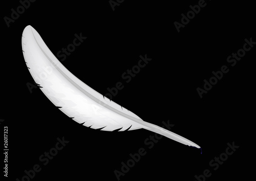 Feather on a black background