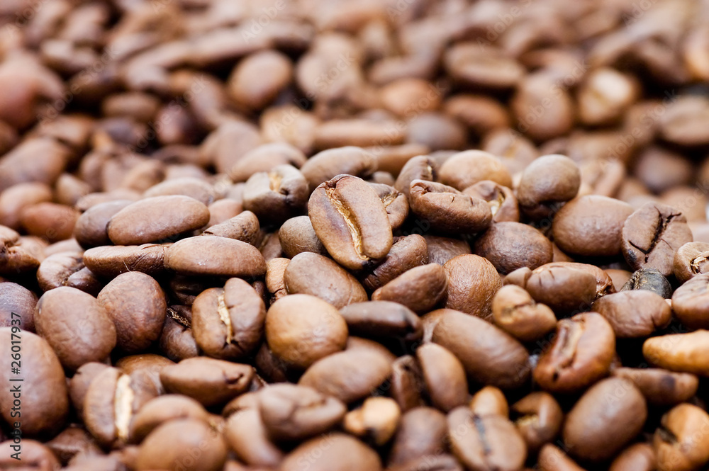 Close up macro shot of coffee bean Close up macro shot of coffee bean