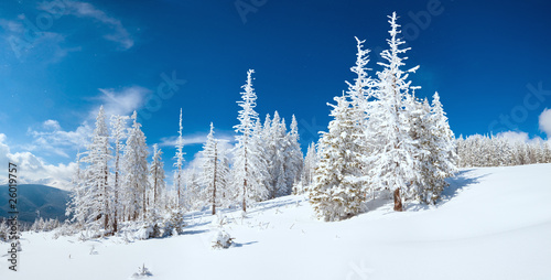 winter mountain panorama