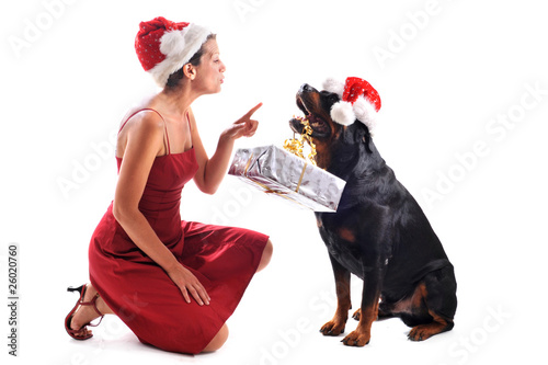 Fényképezés mere noël et chien