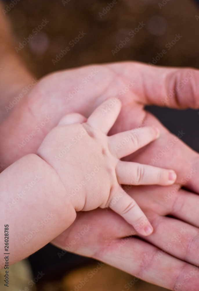 Hands of the child in the hands of the father . Hands of the child in the hands of the father .