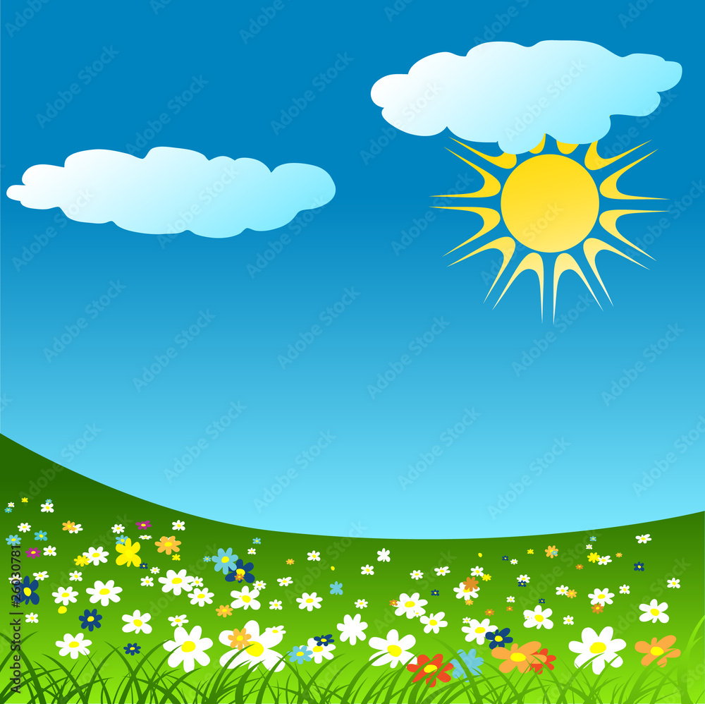 beautiful colorful flower meadow vector