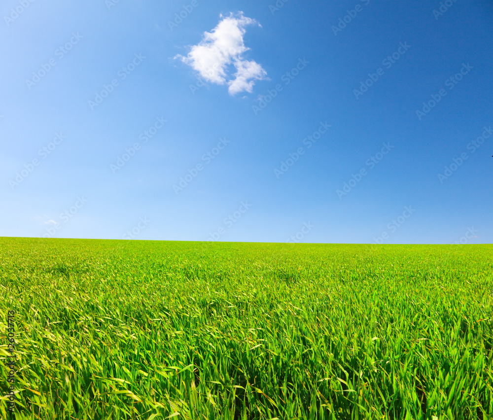 Green hill under blue cloudy sky whit sun Green hill under blue cloudy sky whit sun