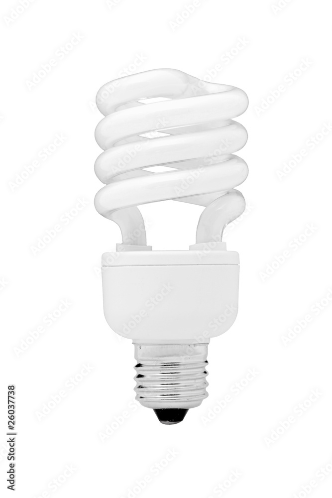 light bulb under the white background light bulb under the white background