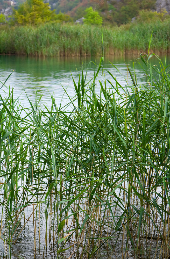 Obraz premium Lake