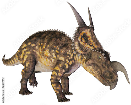 einiosaurus charge photo