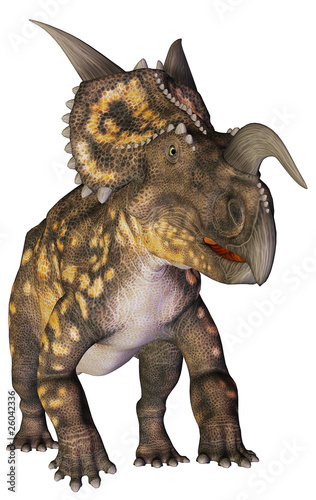 einiosaurus upright