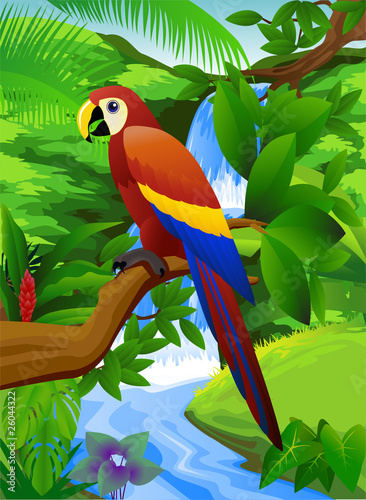 Beautiful parrot in nature