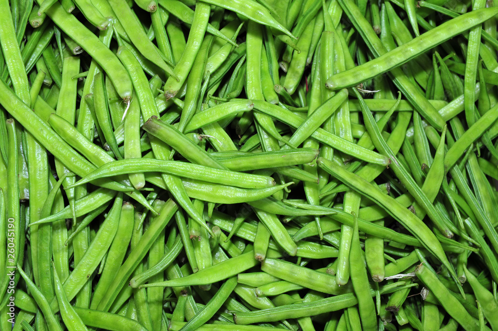 green bean in the markets green bean in the markets