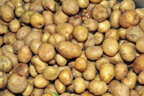 potato in the market