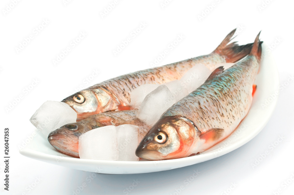 Frozen fish