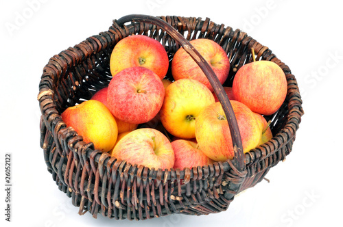 Le panier de pommes photo