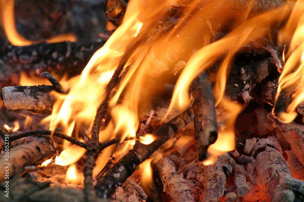 bonfire bonfire