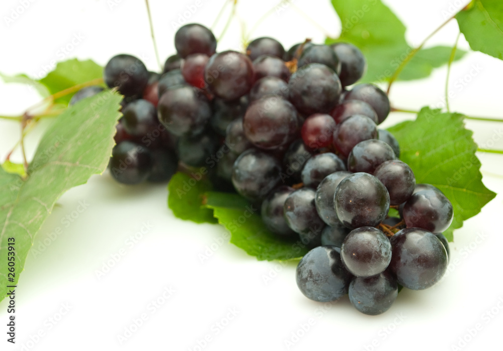 Fototapeta premium Bunch of grapes on white background