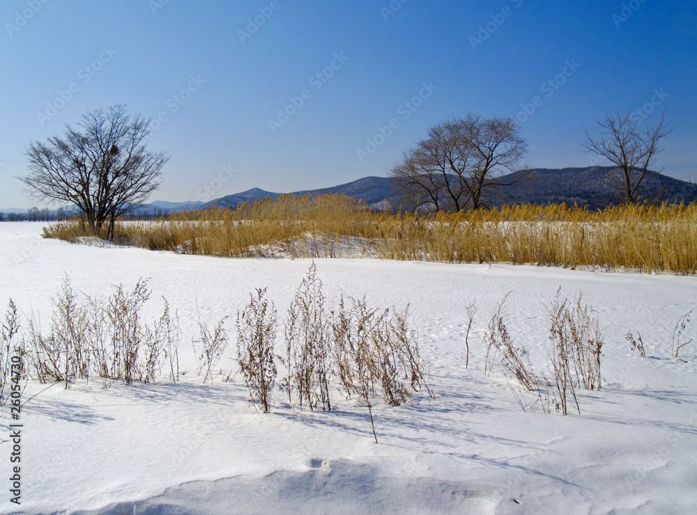 Snow-covered fields