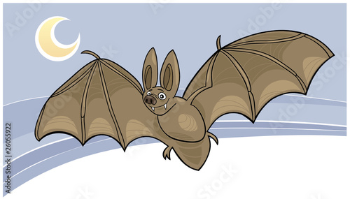 vampire bat
