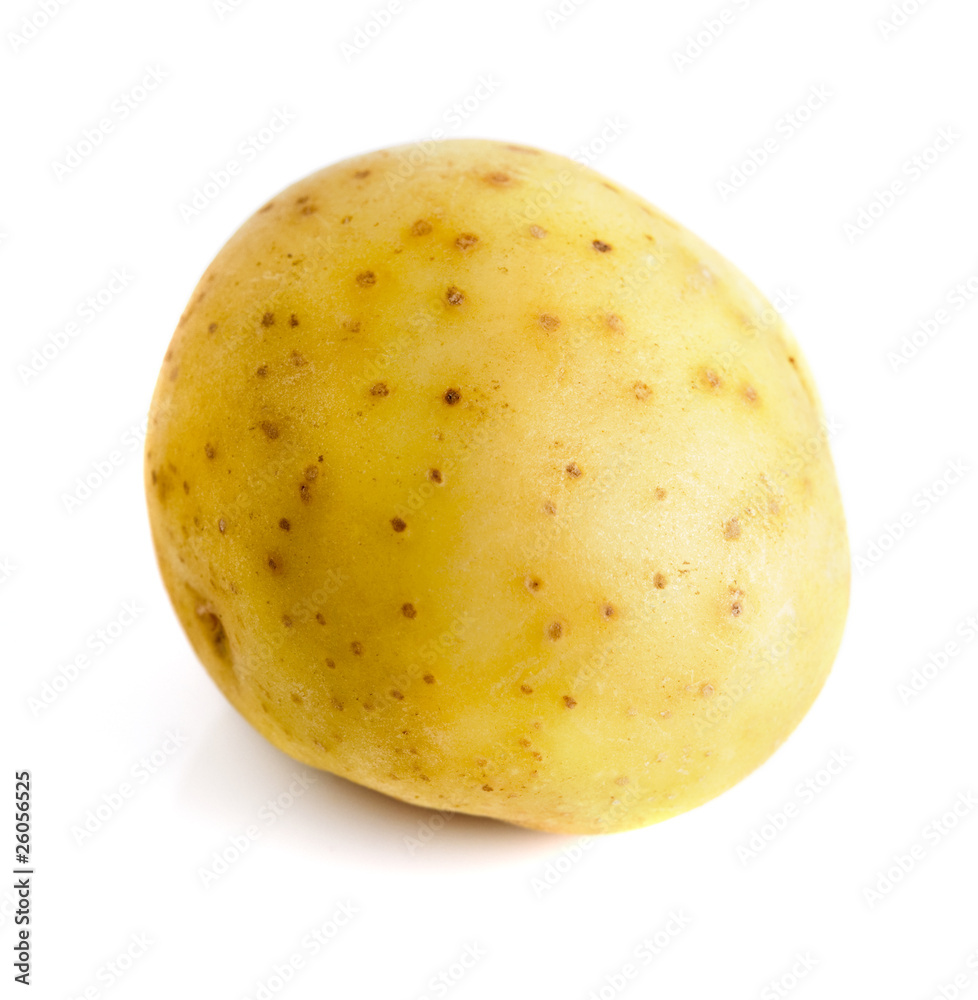 Potato