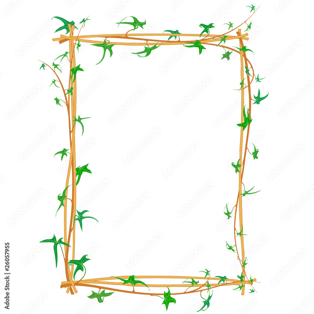 Ivy branch vector frame Ivy branch vector frame