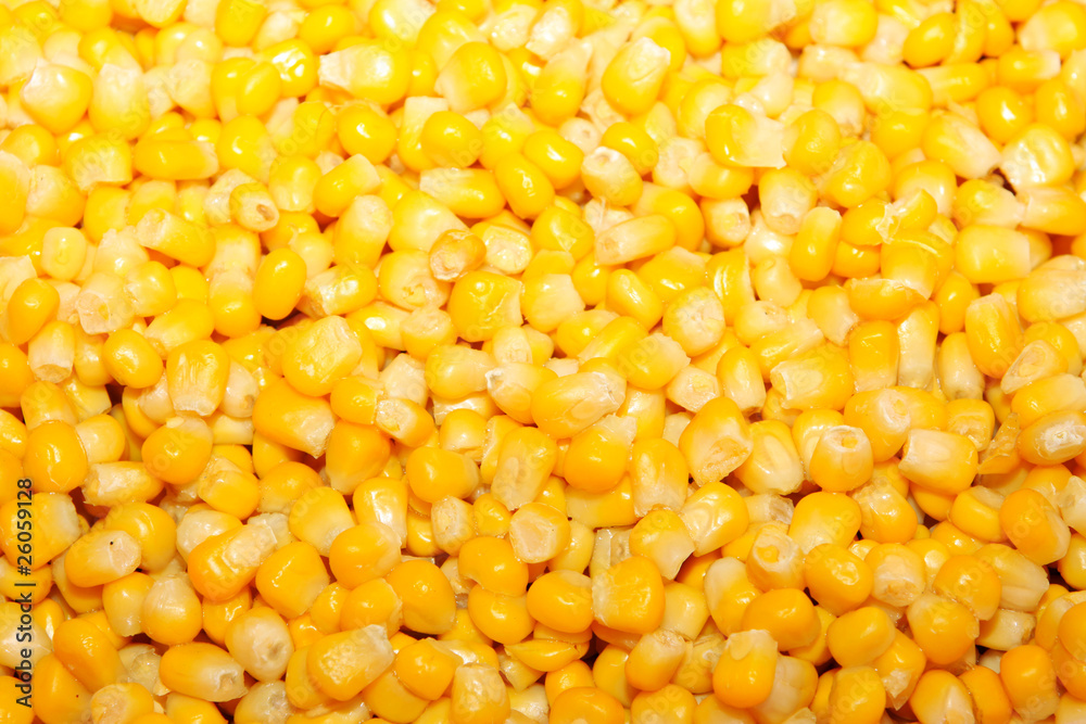 cooking ingredients-corn cooking ingredients-corn