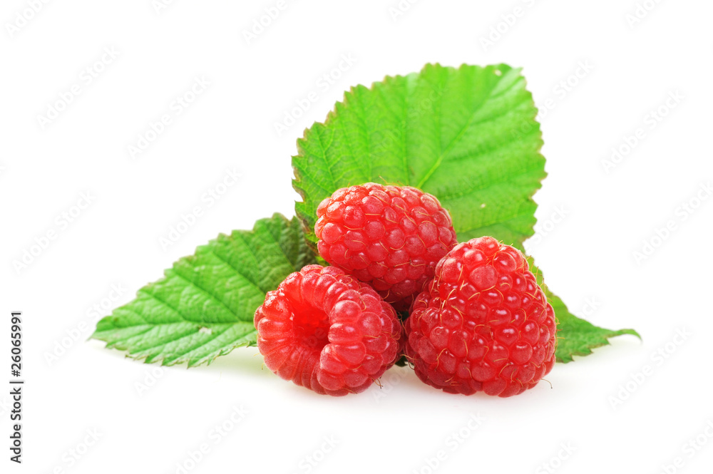 Ripe red raspberries Ripe red raspberries