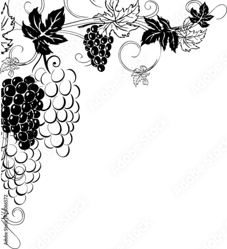 Wein, Weinrebe, Ranke, Weinblätter, Rahmen