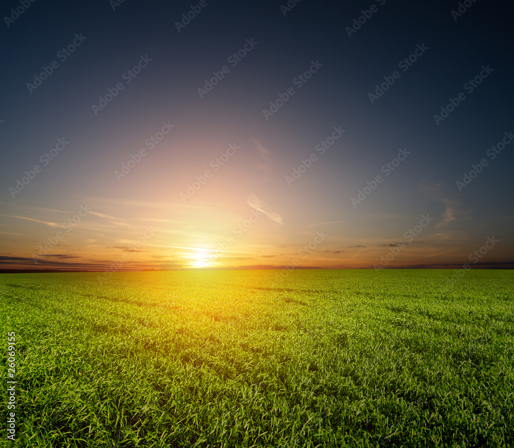 green field and beautiful sunset. green field and beautiful sunset.