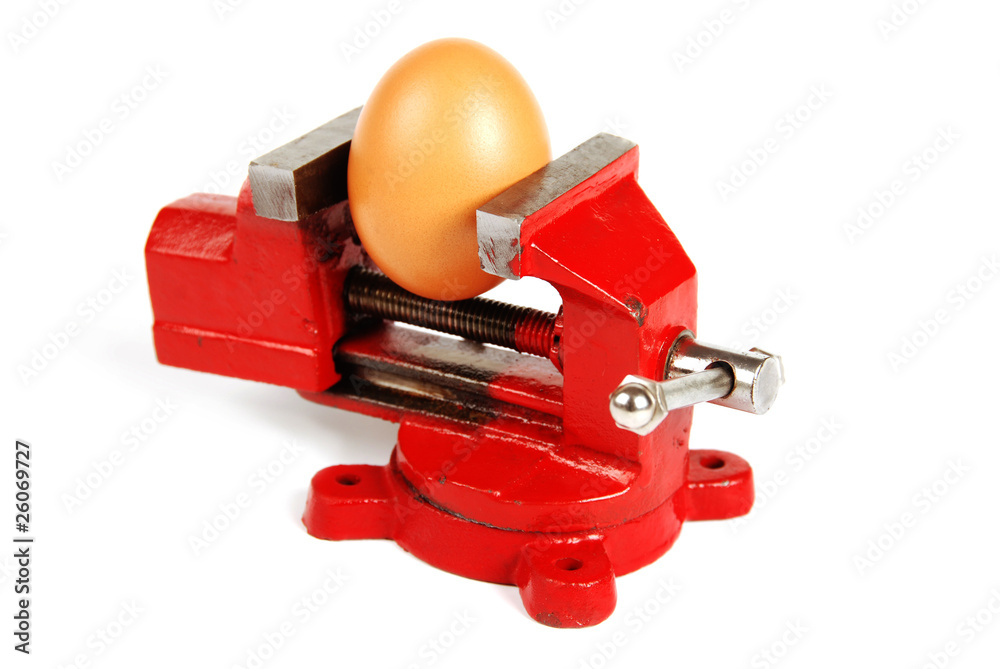 Fototapeta premium Egg in a Vice