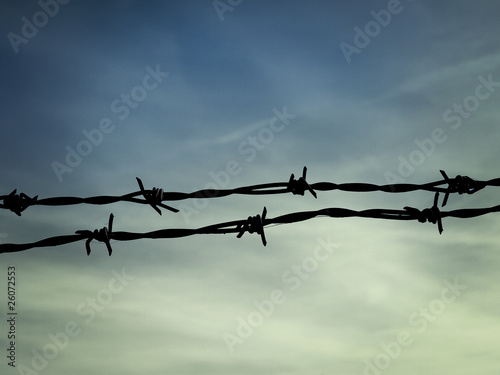 barb wire