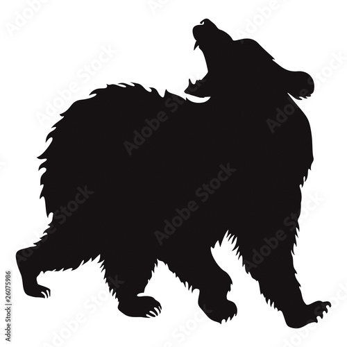 bear