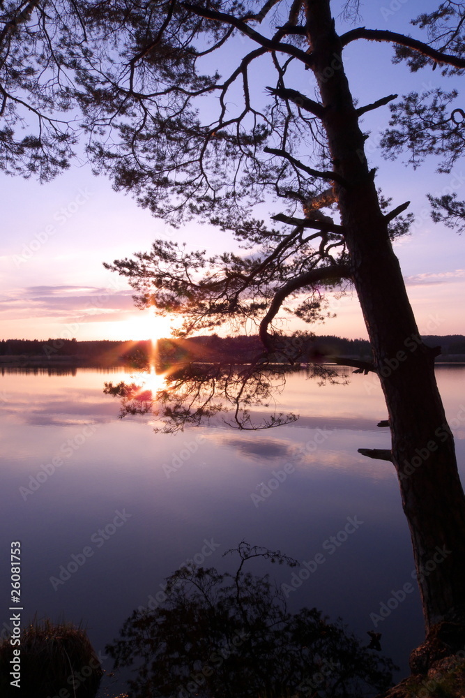 Abendstimmung am See mit Baum im Gegenlicht, vertikal