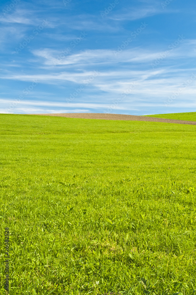 Wiese mit Acker bei blauem Himmel mit Schleierwolken