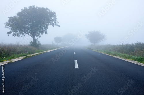 Fog