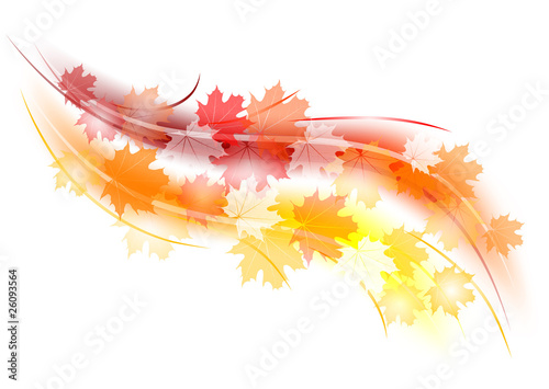 autumn