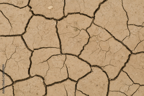 Cracks on ground induced by dry weather